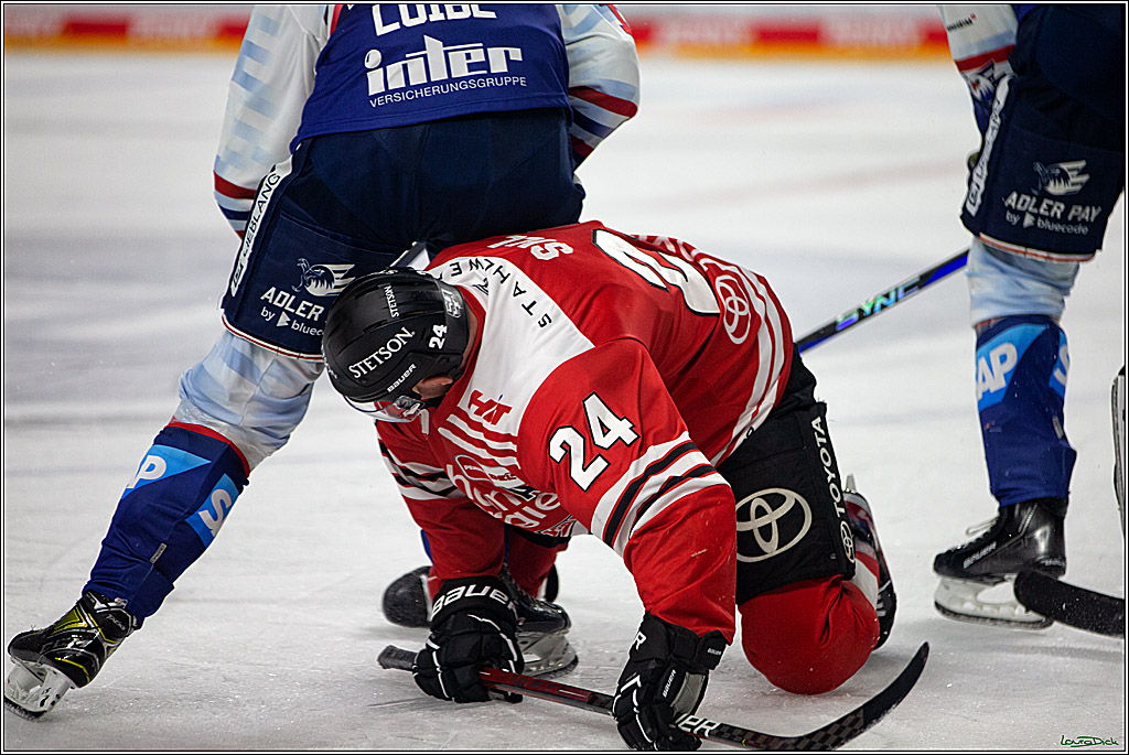 PENNY DEL; Koelner Haie- Adler Mannheim; Koeln, 04.11.2022